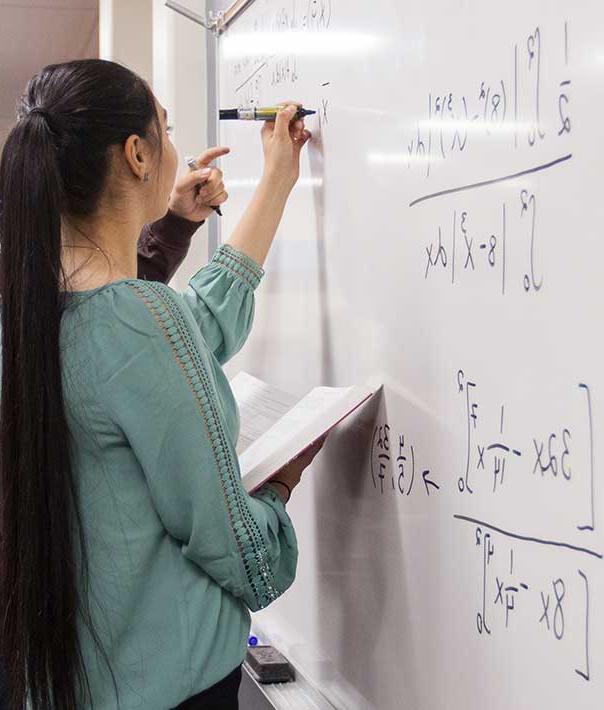 网赌正规真人实体在线平台 Math Program